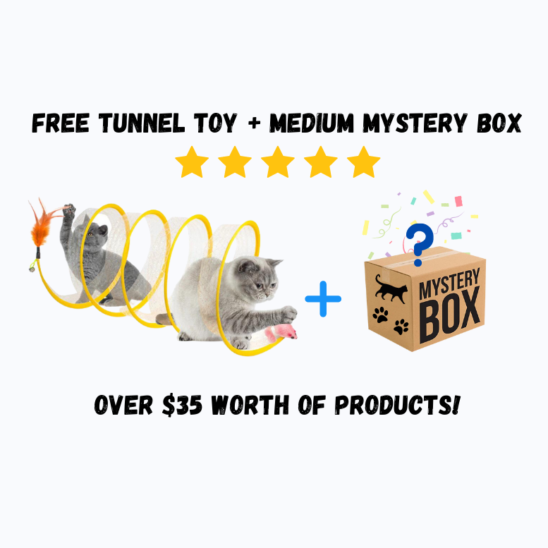 How to open mysterious boxes?  Additional novelties of The