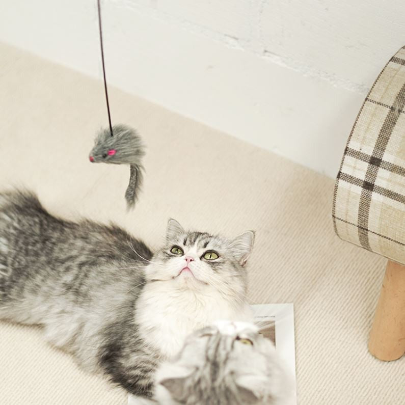 PawPounce™ Hanging Cat Toy - Free Shipping!